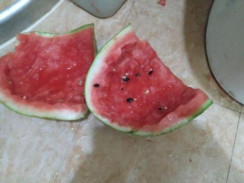 吃新疆瓜视频,一场视觉与味蕾的双重盛宴