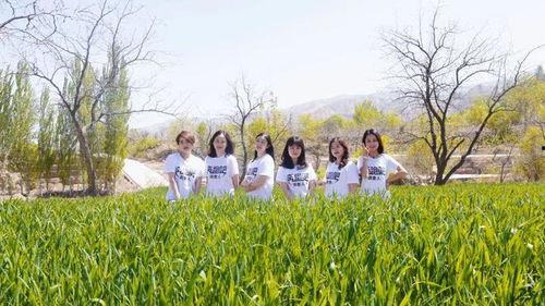 油菜花吃瓜视频,一场视觉盛宴的美食之旅