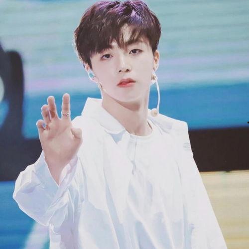 追星吃瓜陈立农视频全集,揭秘明星背后的娱乐生活