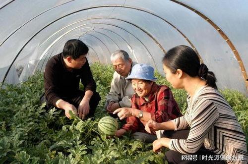 新疆库尔勒吃瓜事件视频,一场引发热议的网络狂欢
