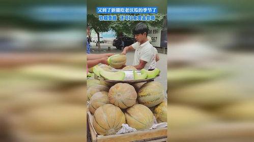 吃瓜老汉的视频,揭秘生活百态