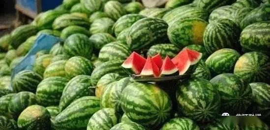 六一预告吃瓜视频大全最新,吃瓜视频大全，笑料百出，欢乐无限！