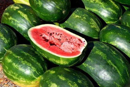 吃瓜图片视频大全高清